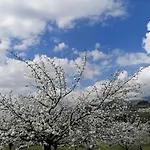 Complejo Rural Palomas * 赫尔特