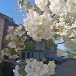 Complejo Rural Palomas