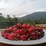 Complejo Rural Palomas 公寓 *