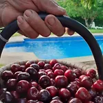 公寓 Complejo Rural Palomas 赫尔特