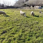 Complejo Rural Palomas خيرتي