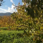 公寓 Complejo Rural Palomas 赫尔特