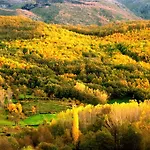 Complejo Rural Palomas