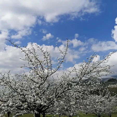 Complejo Rural Palomas * Jerte