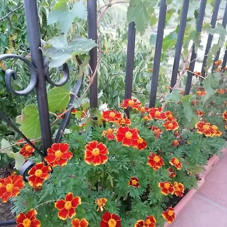 Complejo Rural Palomas Jerte