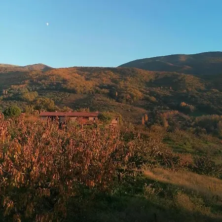 公寓 Complejo Rural Palomas *