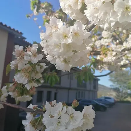 Complejo Rural Palomas