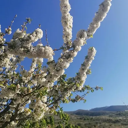 Apartamento Complejo Rural Palomas *