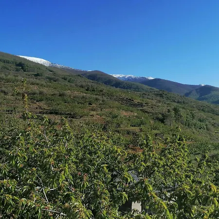 公寓 Complejo Rural Palomas 赫尔特
