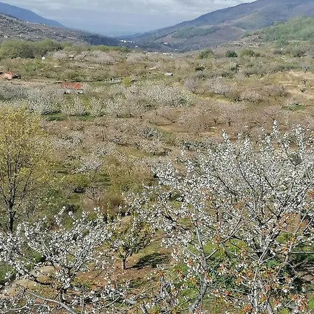 Complejo Rural Palomas Apartamento *