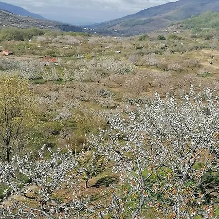 Complejo Rural Palomas Apartment *