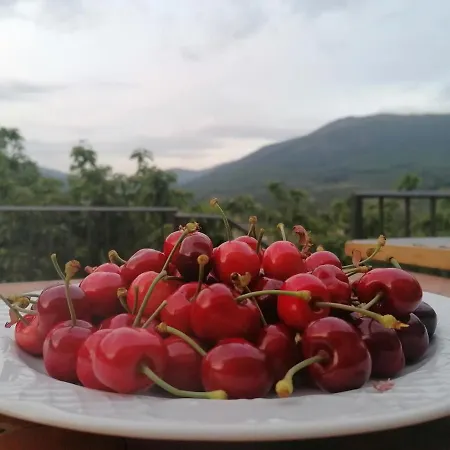 Complejo Rural Palomas 아파트 *