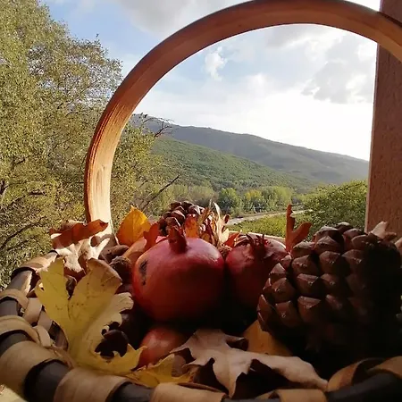 Lägenhet Complejo Rural Las Palomas