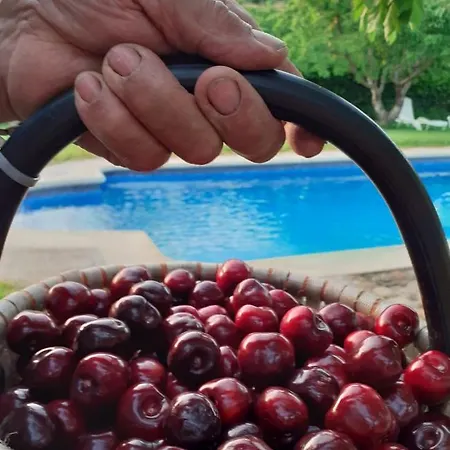 Διαμέρισμα Complejo Rural Palomas Jerte