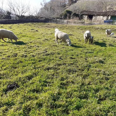 Complejo Rural Palomas Jerte