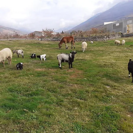 Complejo Rural Las Palomas