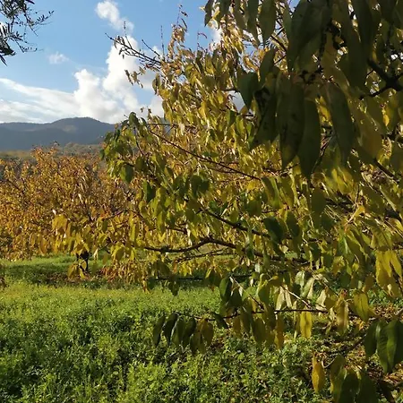 Apartamento Complejo Rural Palomas Jerte