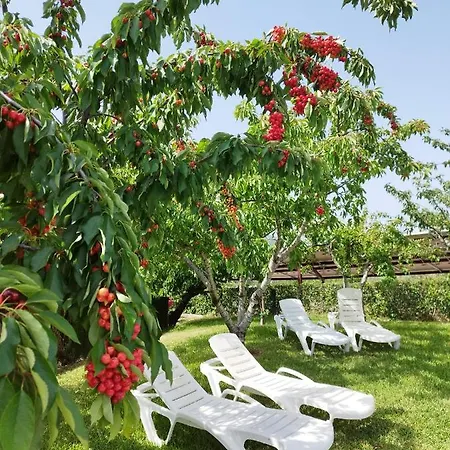 Complejo Rural Palomas Διαμέρισμα *