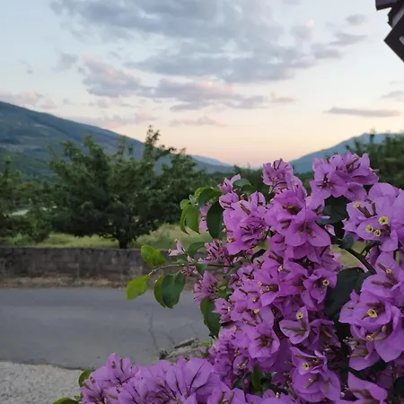 Complejo Rural Palomas *