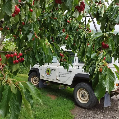 Complejo Rural Palomas