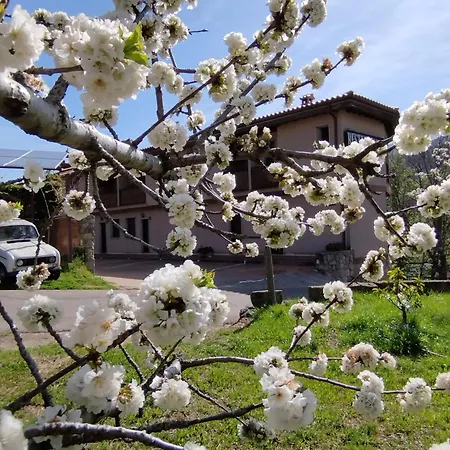 Complejo Rural Palomas Apartamento *