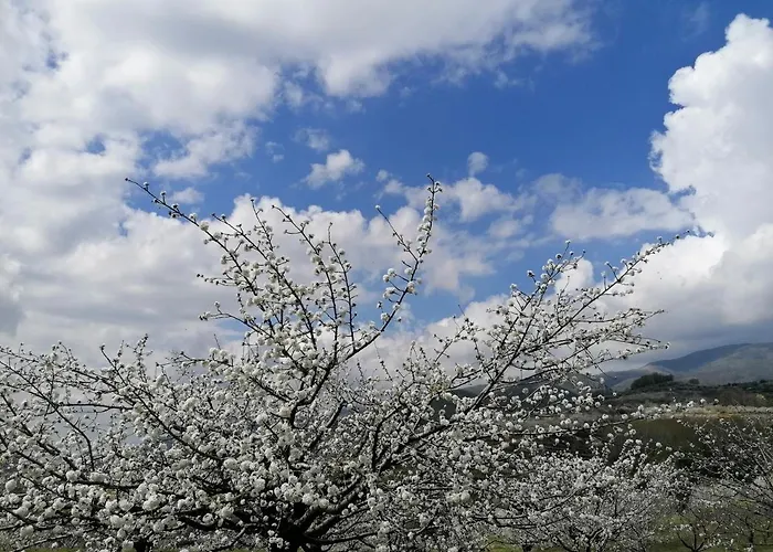 Complejo Rural Palomas * Jerte