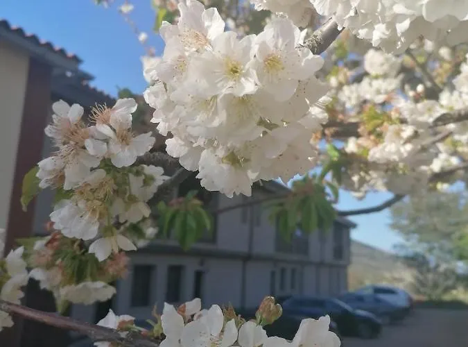 Complejo Rural Palomas