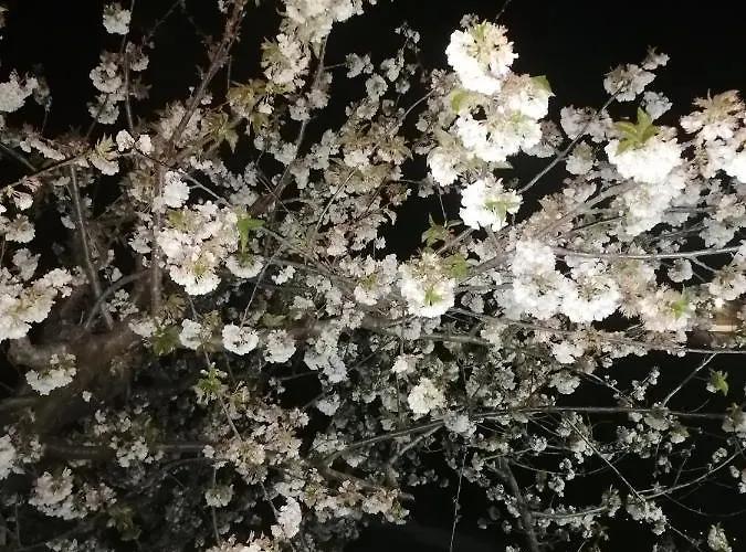 Apartament Complejo Rural Palomas