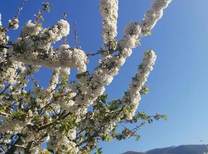 Apartamento Complejo Rural Palomas *