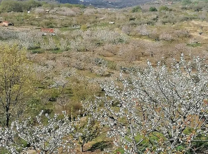 Complejo Rural Palomas Apartamento *