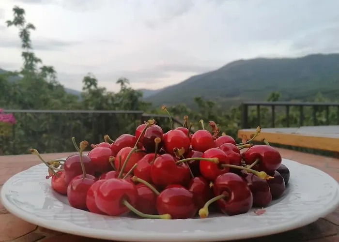 Complejo Rural Palomas Apartament *