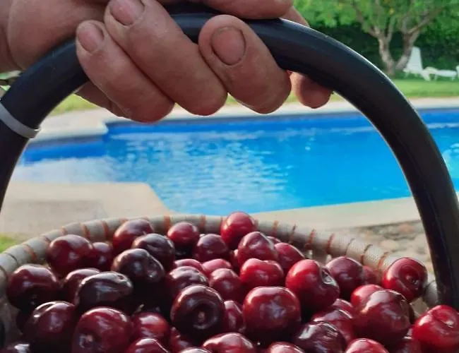 Apartament Complejo Rural Palomas Jerte