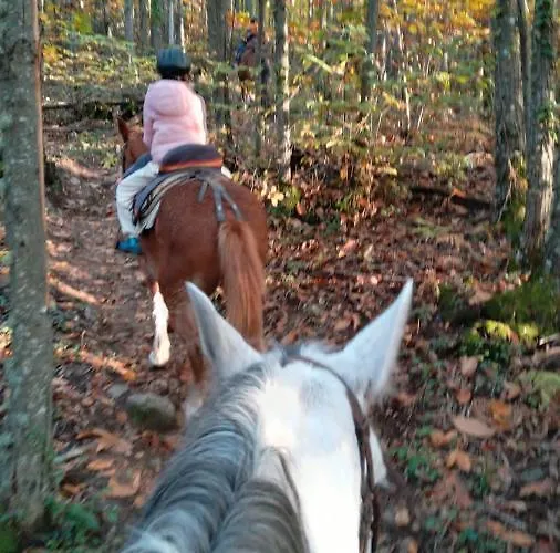 Complejo Rural Palomas Lejlighed Jerte