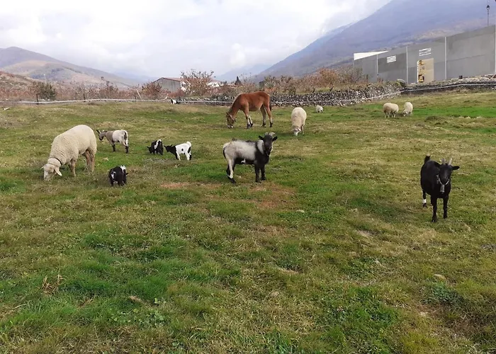 Complejo Rural Palomas