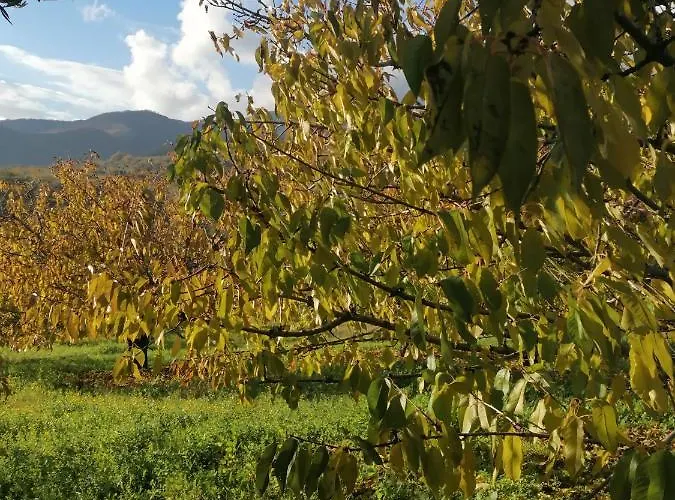 Apartamento Complejo Rural Palomas Jerte