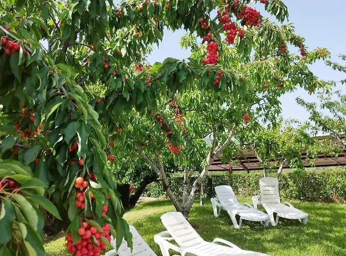 Complejo Rural Palomas Apartamento *