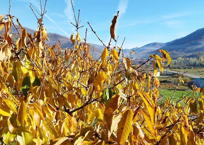 Complejo Rural Palomas * Jerte