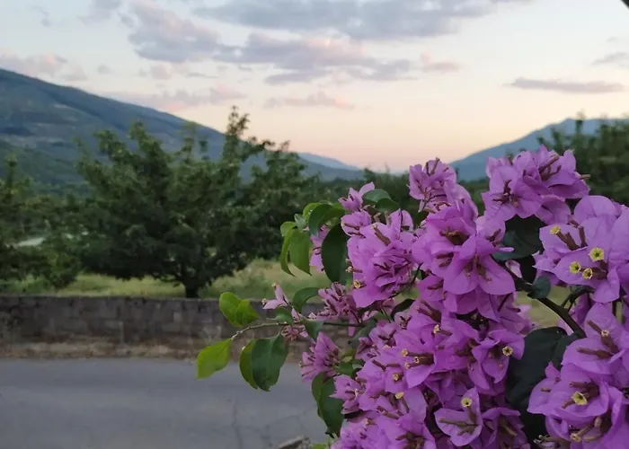 Complejo Rural Palomas *