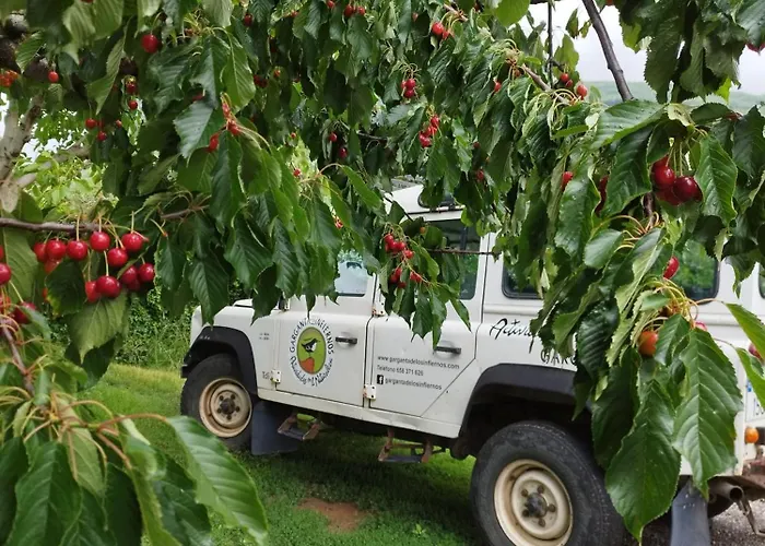 Complejo Rural Palomas