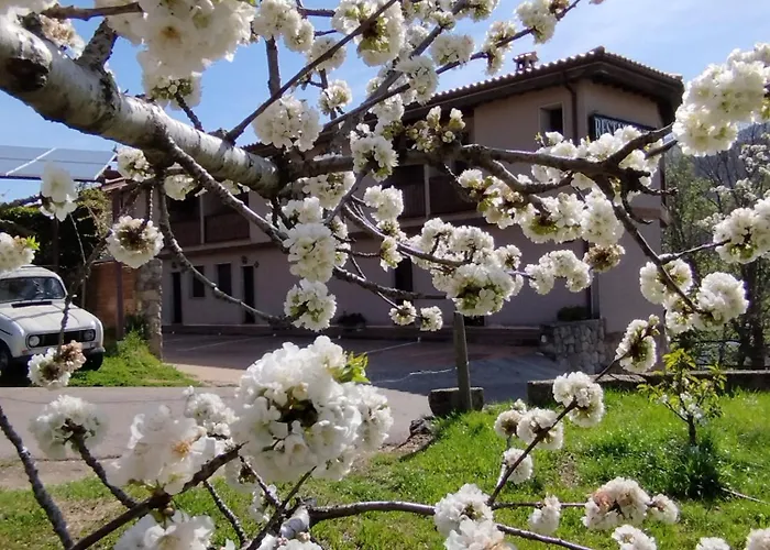 Complejo Rural Palomas Apartament *