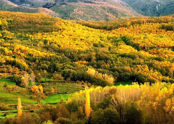 Complejo Rural Palomas